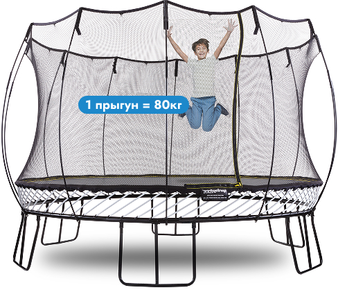 Батут Springfree круглый R54