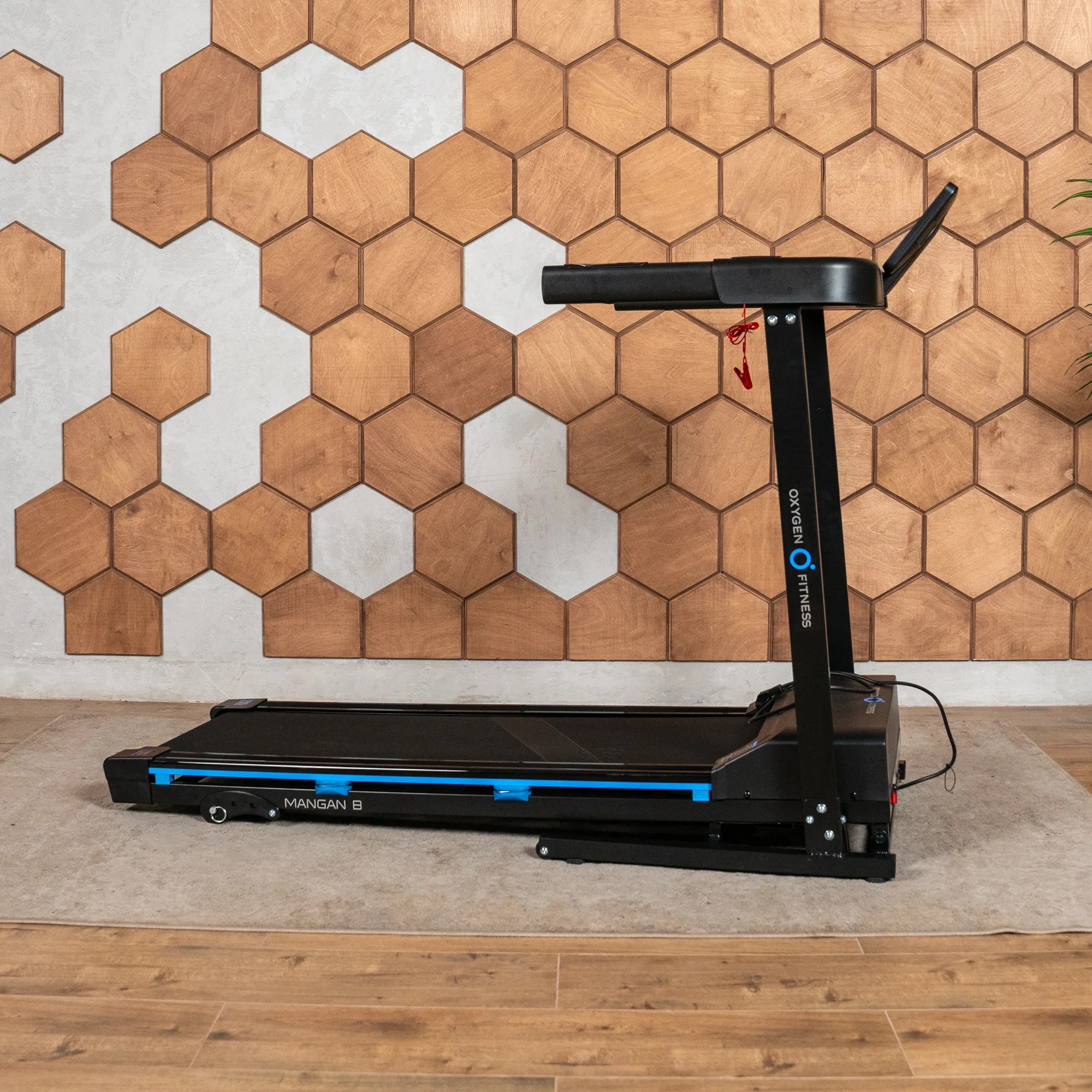 Беговая дорожка OXYGEN FITNESS MANGAN B